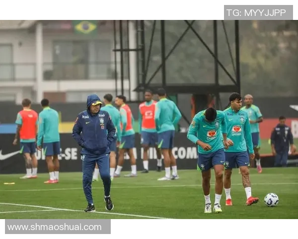 巴西足球六大球星介绍及其辉煌成就分析