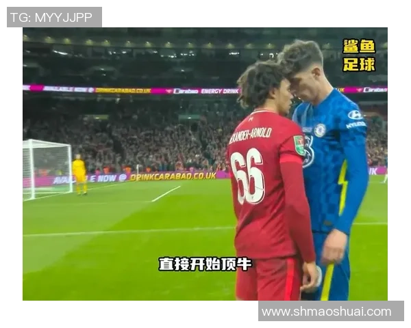 哈弗茨与阿诺德：两位足球巨星的成长轨迹与未来展望