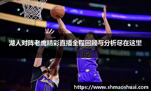 好博体育登陆人口