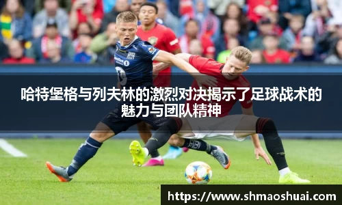好博体育登陆人口
