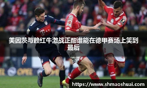 好博体育平台